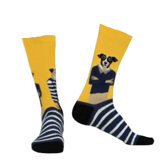 Chaussettes chiens jaune