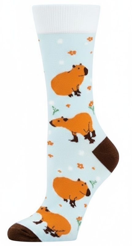 Chaussettes capybara